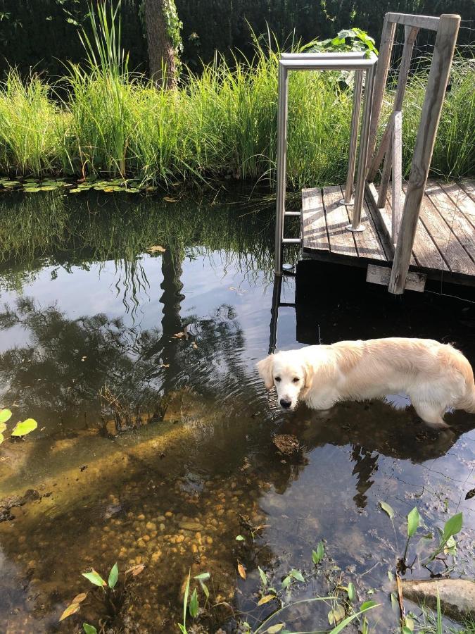 Millies Hosting - Familienurlaub Mit Hund In Kaernten Sankt Paul im Lavanttal Екстериор снимка